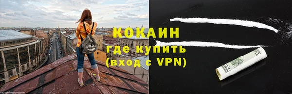 индика Аркадак