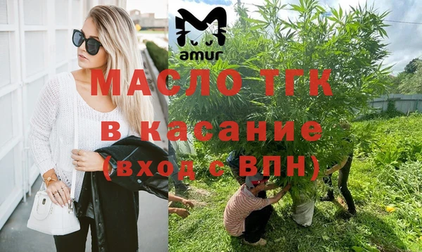 индика Аркадак