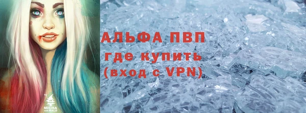 индика Аркадак