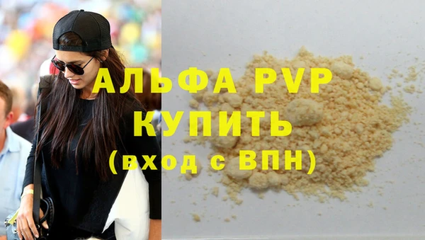 индика Аркадак