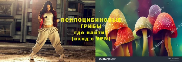 ПСИЛОЦИБИНОВЫЕ ГРИБЫ Арсеньев