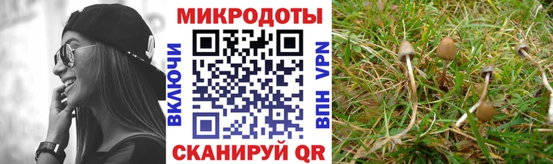 Галлюциногенные грибы MAGIC MUSHROOMS  цены   это наркотические препараты  Красногорск 